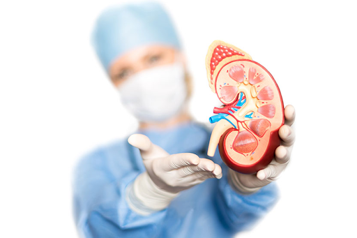 Kidney Transplant: Treatment & Recovery