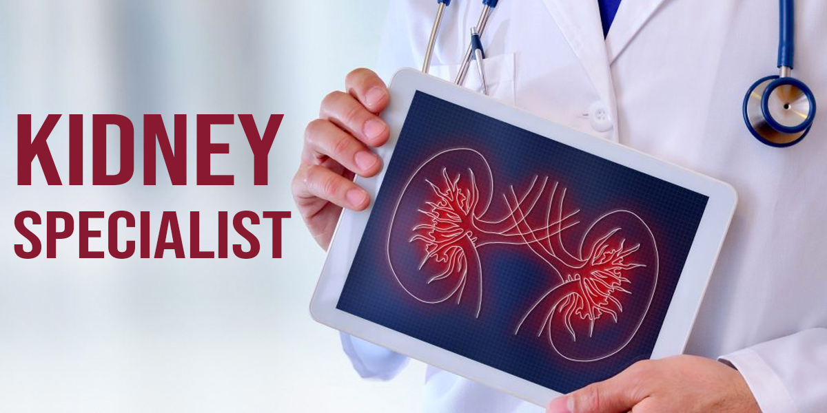 How Kidney Specialist in Chandigarh will Help Your Kidneys Heal