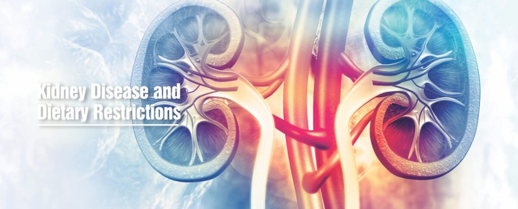 best kidney doctor in Chandigarh