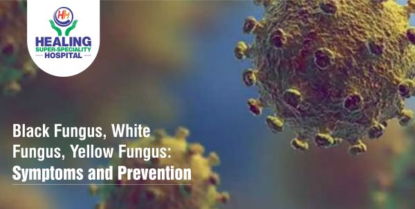 Black Fungus, White Fungus, Yellow Fungus: Symptoms and Prevention