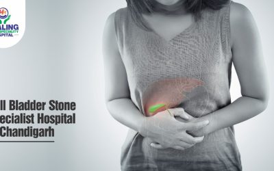 Healing Hospital Chandigarh Gall Bladder Stone Specialist Hospital in Chandigarh