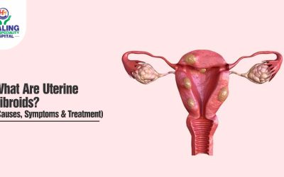 Uterine Fibroids healing hospital chandigarh
