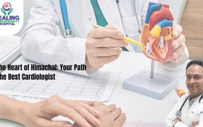Best Cardiologist in Himachal