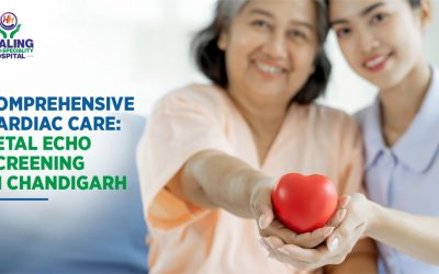 Fetal Echo in chandigarh