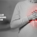 Cardiovascular Health: Nurturing Your Heart for Longevity