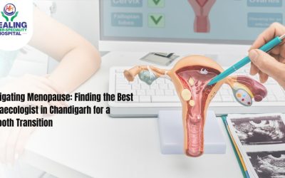 Top gynaecologist in chandigarh