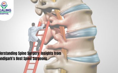 spine specialist in chandigarh