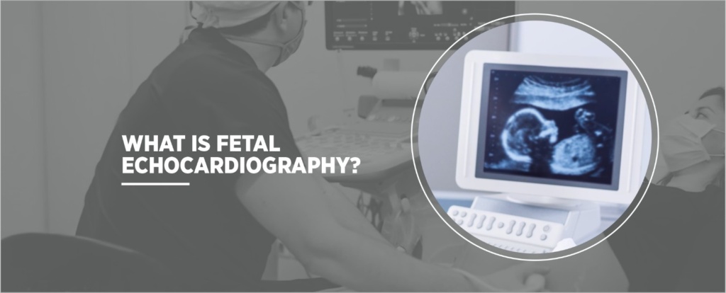 Fetal Echo in chandigarh