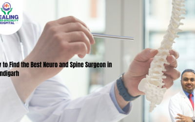 Spine Surgeon in Chandigarh