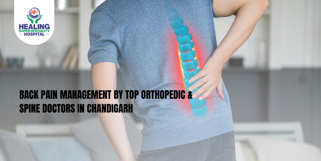 Back Pain Management by Top Orthopedic & Spine Doctors in Chandigarh