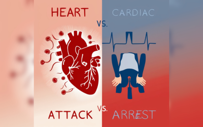 Cardiac Arrest vs Heart Attack