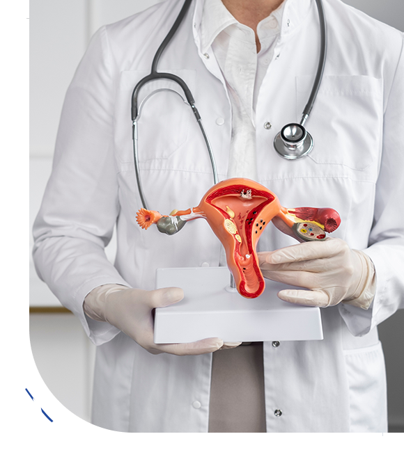 Gynaecologist