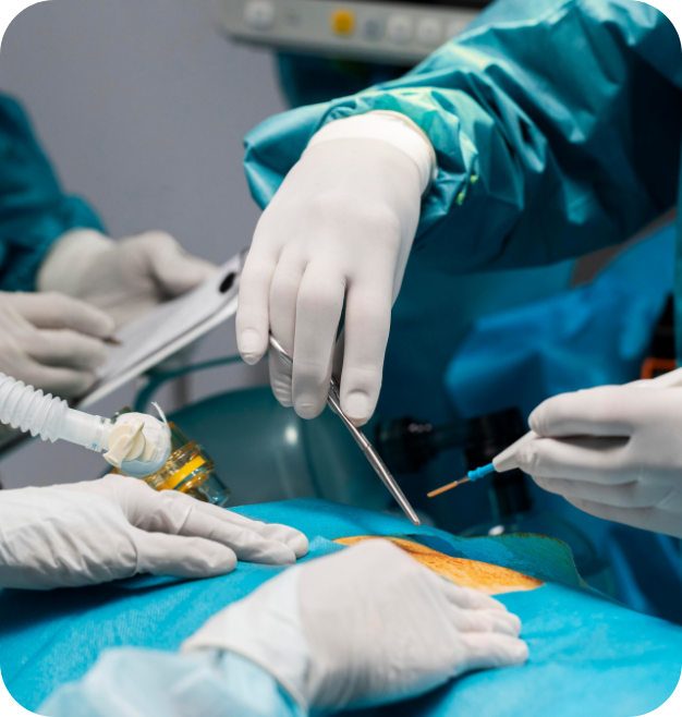 Surgery
