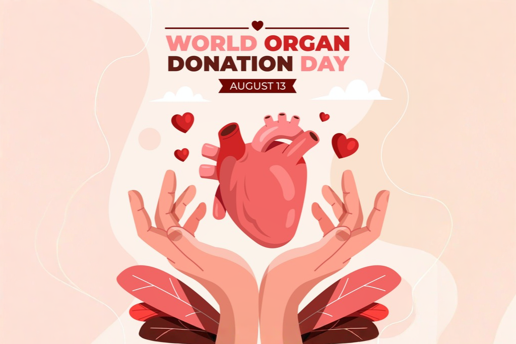 World Organ Donation Day 2026: Date, History, Facts and a Complete Guide to Organ Donation in India