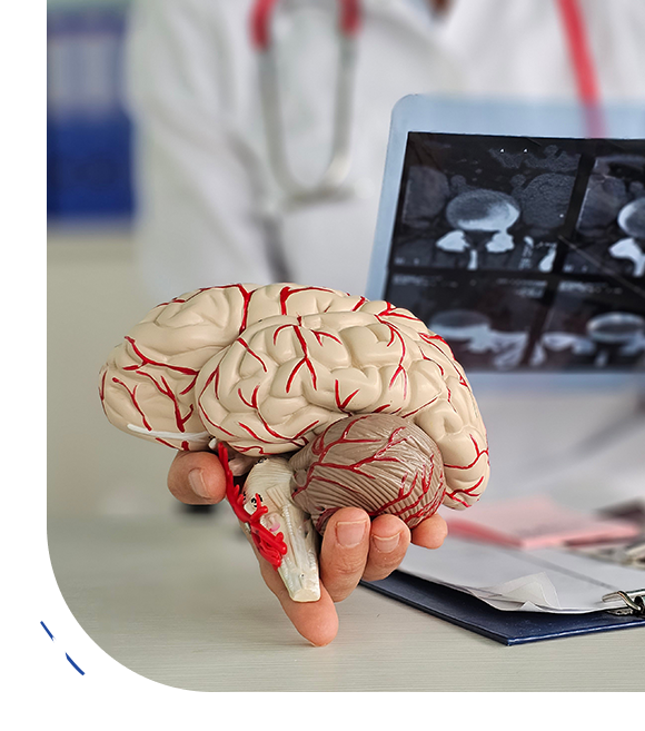 neurology2