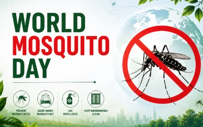 World Mosquito Day: Malaria, Mosquito-Borne Diseases, Symptoms & Prevention