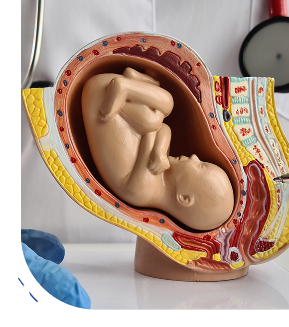Why Consult a Fertility Specialist in Chandigarh at Healing Hospital?